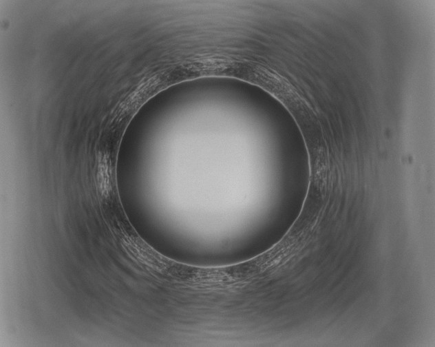 X0000080710866200612151131