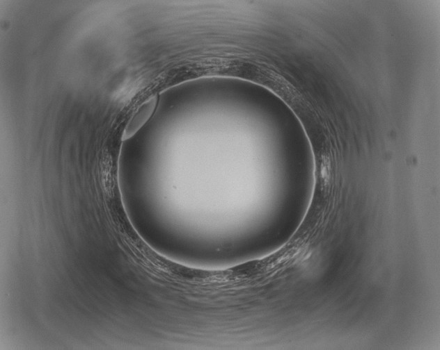 X0000080710867200612151131