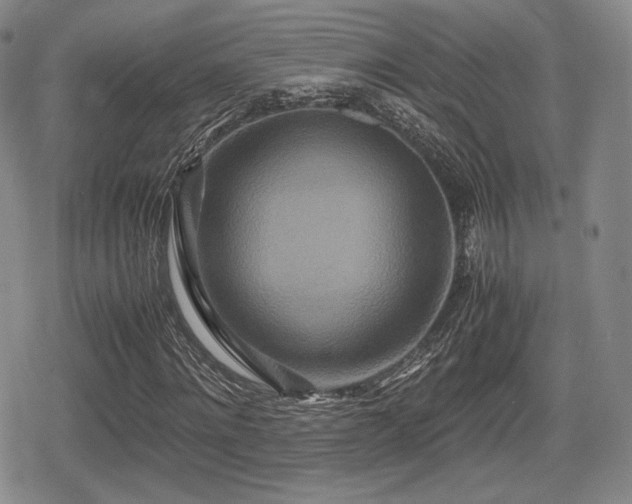 X0000080710868200612151131