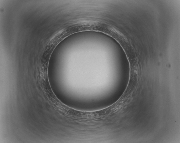 X0000080710869200612151131