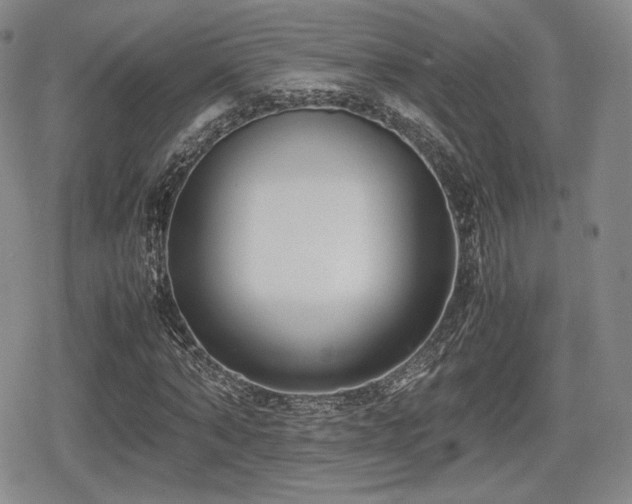 X0000080710870200612151131