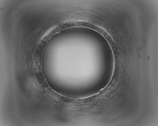 X0000080710871200612151131