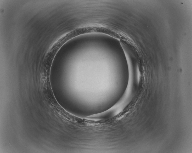 X0000080710872200612151131