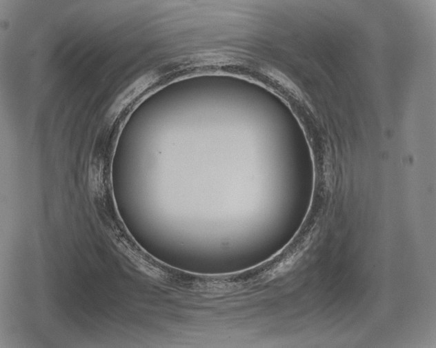 X0000080710873200612151131