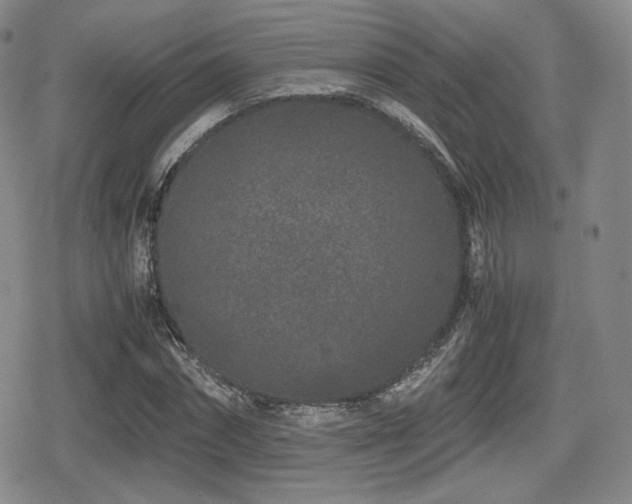 X0000080710874200612151131