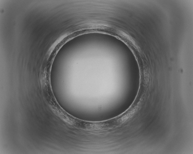 X0000080710875200612151131