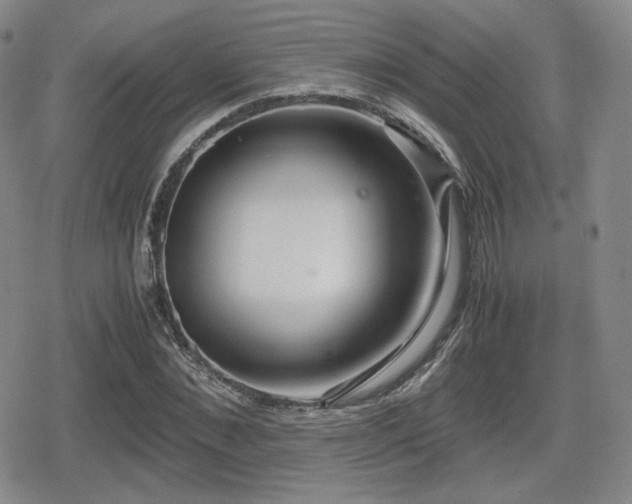 X0000080710876200612151131