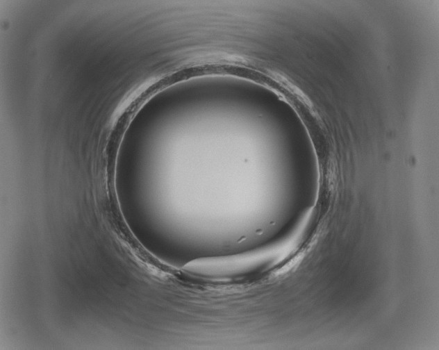 X0000080710877200612151131