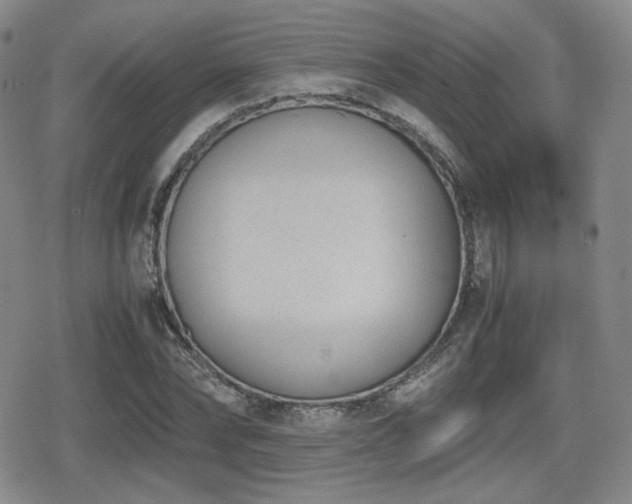 X0000080710878200612151131