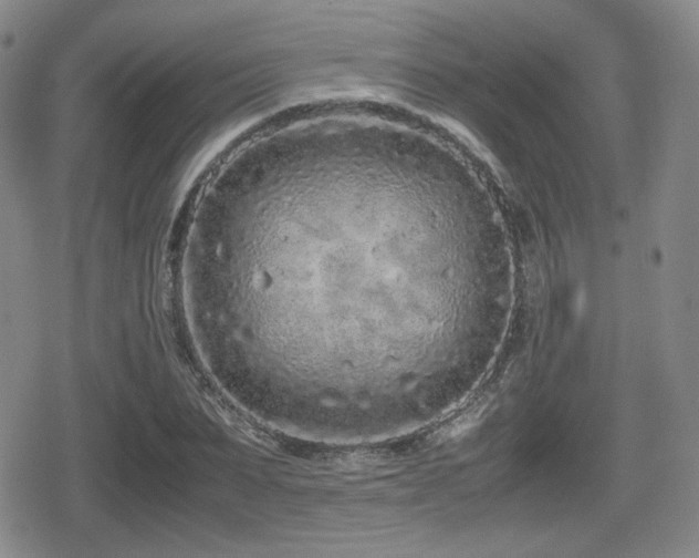 X0000080710879200612151131