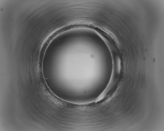 X0000080710880200612151131