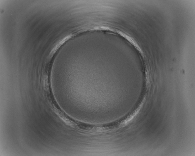 X0000080710881200612151131