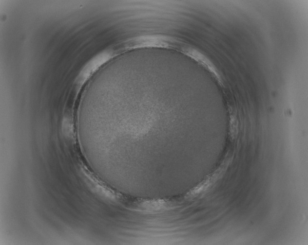 X0000080710882200612151131