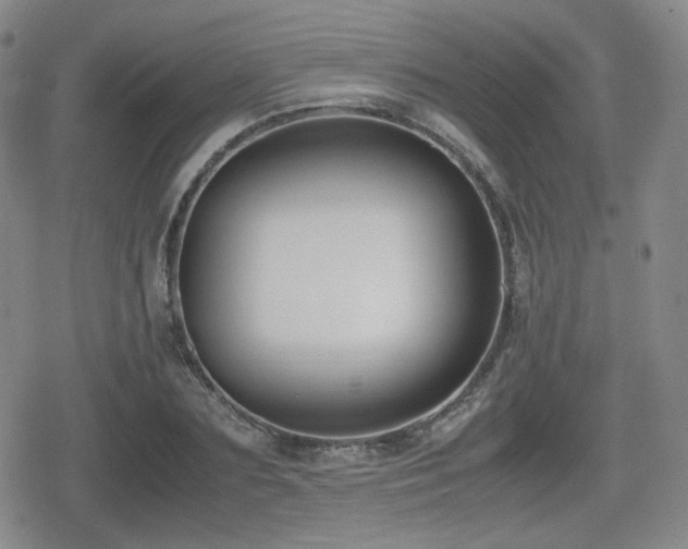 X0000080710883200612151131