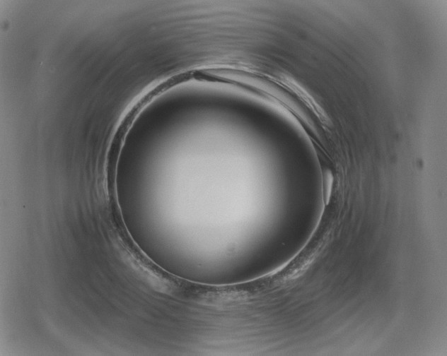 X0000080710884200612151131