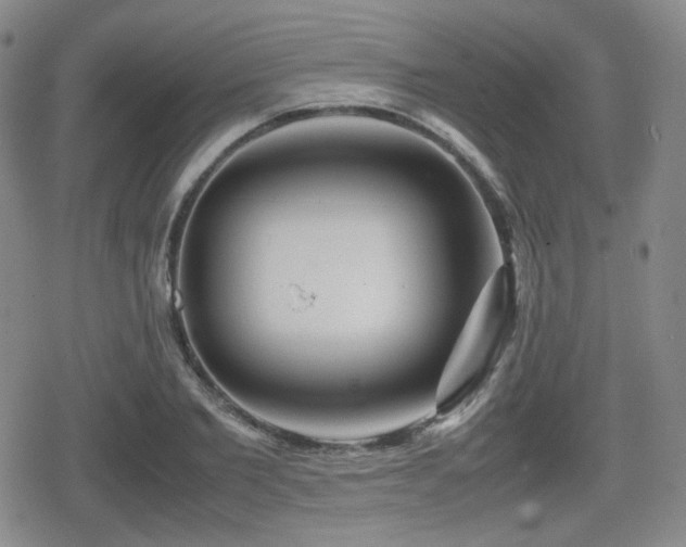 X0000080710885200612151131