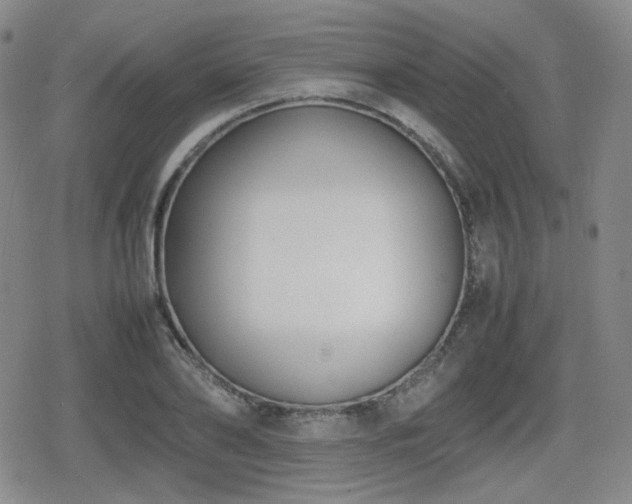 X0000080710886200612151131