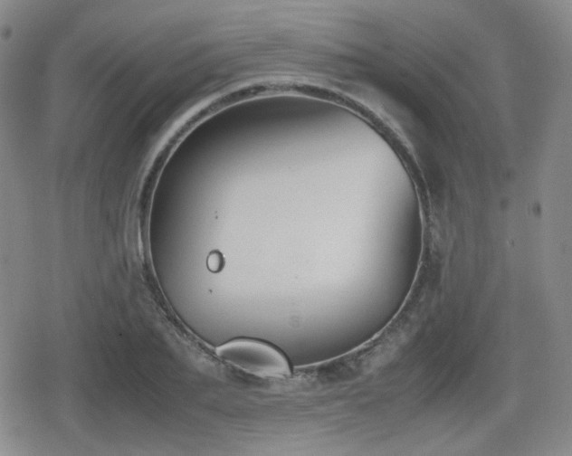 X0000080710887200612151131