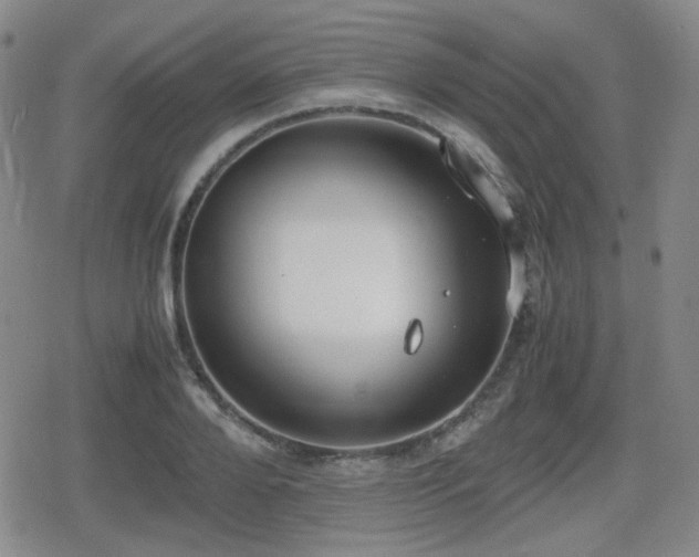 X0000080710888200612151131