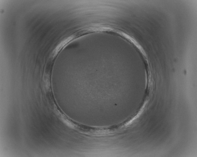 X0000080710889200612151131