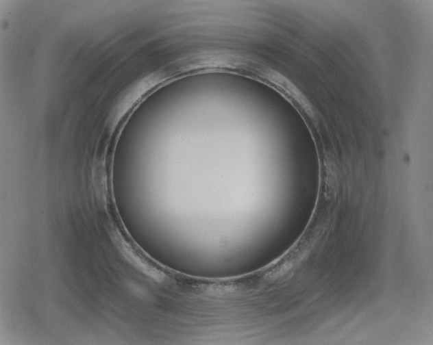 X0000080710890200612151131