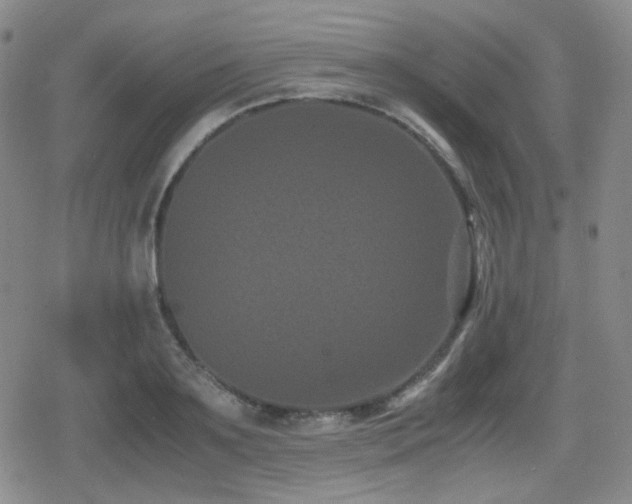 X0000080710891200612151131