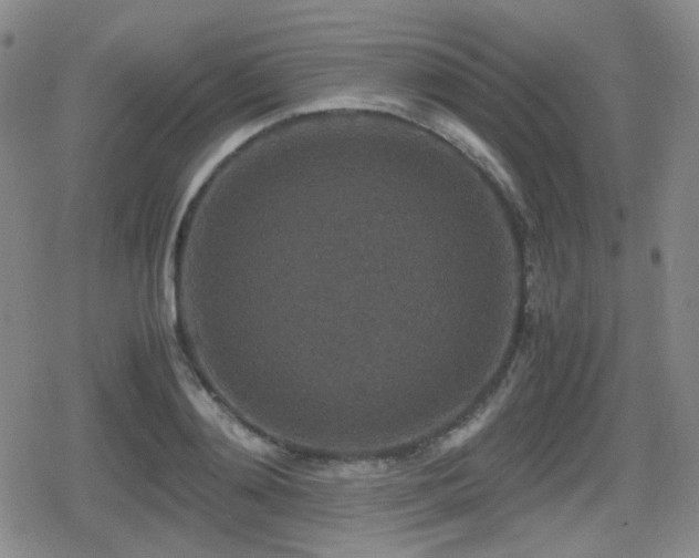 X0000080710892200612151131