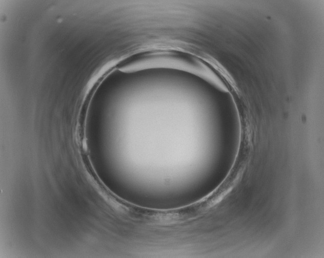 X0000080710893200612151131