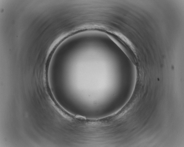 X0000080710894200612151131