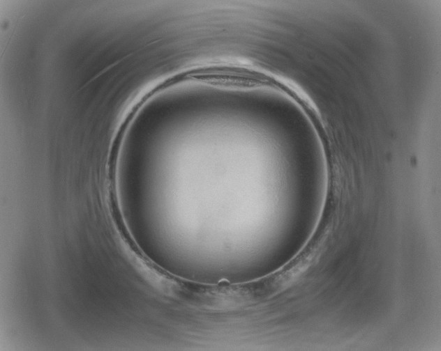 X0000080710895200612151131