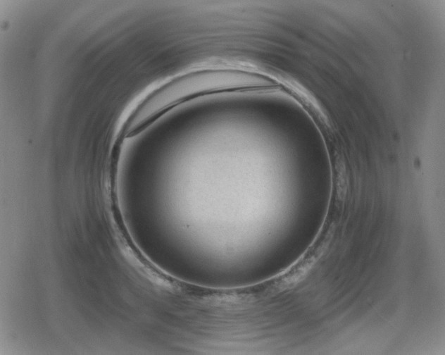 X0000080710896200612151131