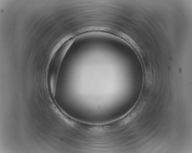 X0000080710898200612151131