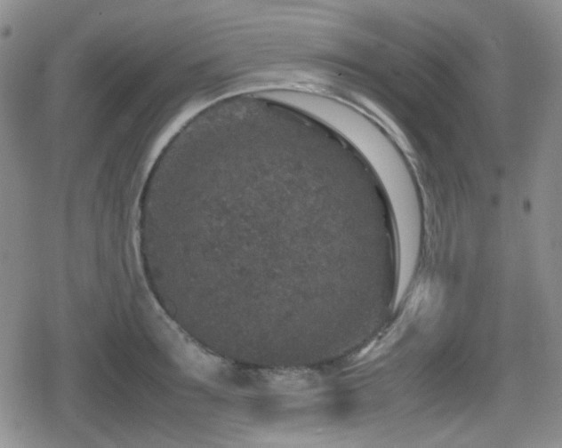 X0000080710899200612151131