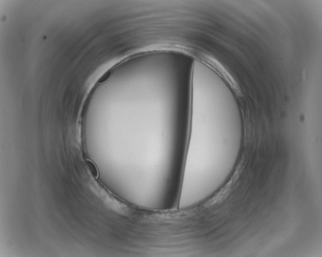 X0000080710900200612151131