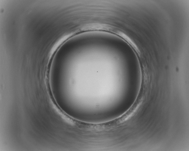 X0000080710901200612151131