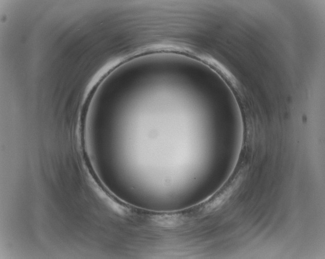 X0000080710902200612151131