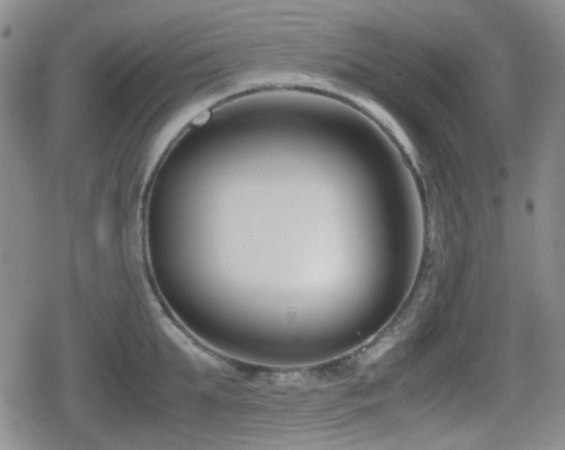 X0000080710903200612151131