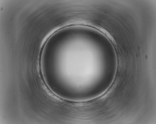 X0000080710904200612151131