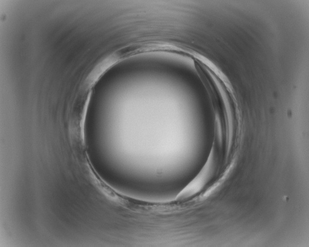 X0000080710905200612151131