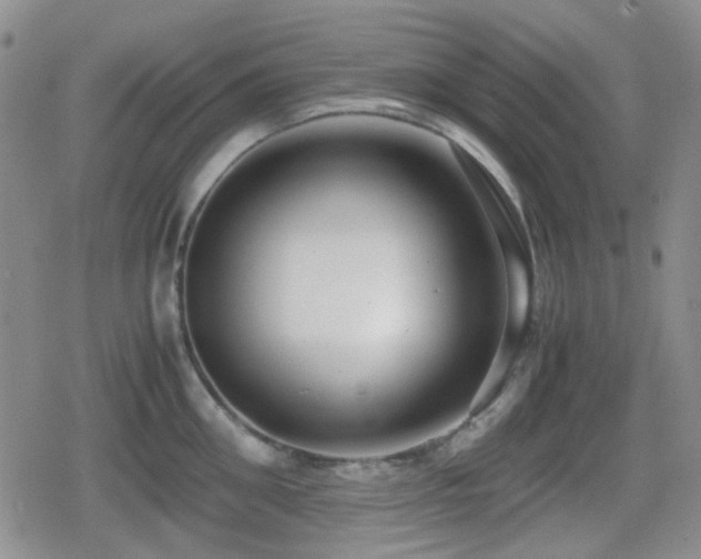 X0000080710906200612151131