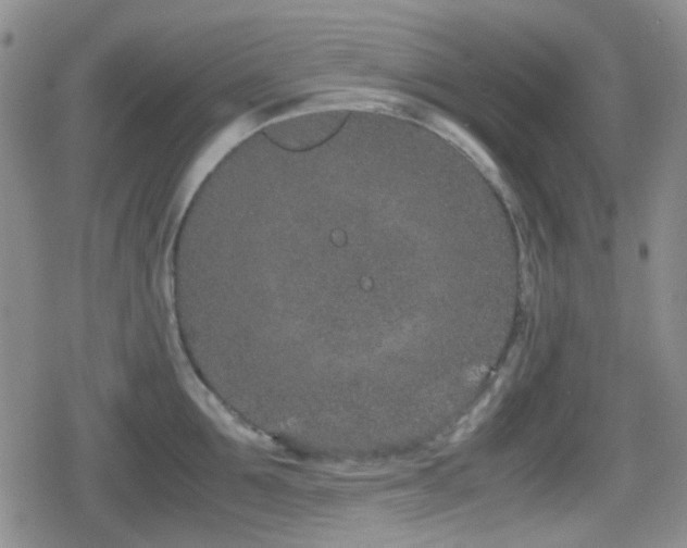 X0000080710907200612151131