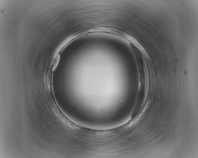 X0000080710908200612151131