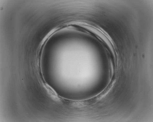 X0000080710909200612151131