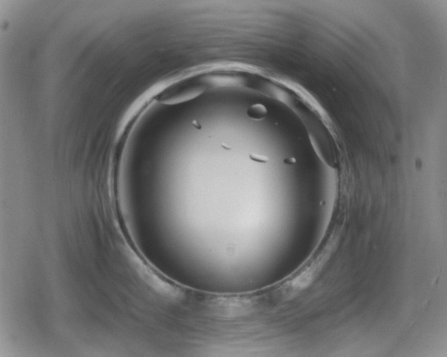 X0000080710910200612151131