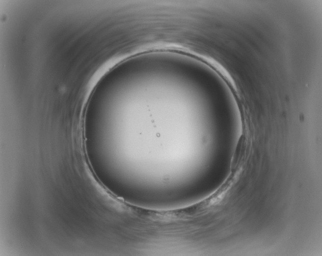 X0000080710911200612151131