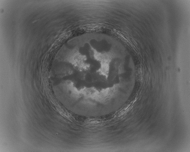 X0000080710913200612151130