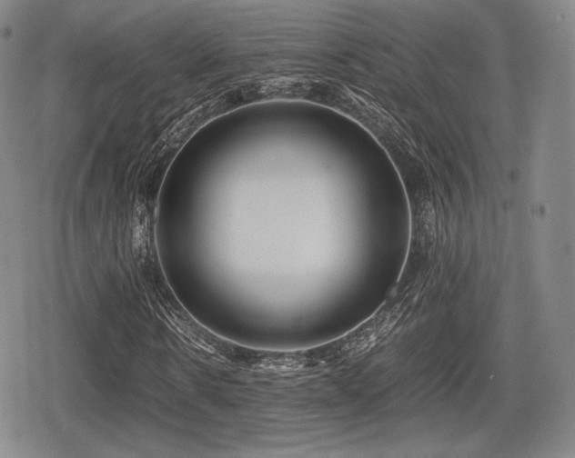 X0000080710914200612151130