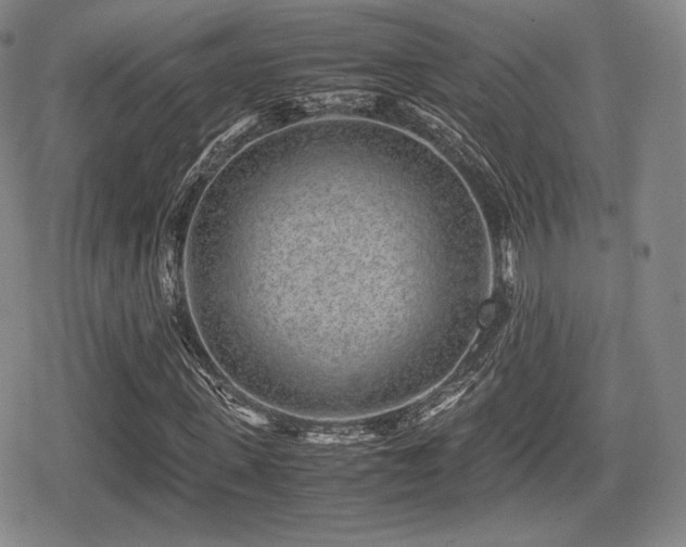 X0000080710915200612151130