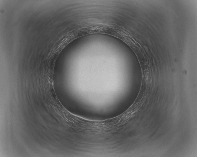 X0000080710916200612151130