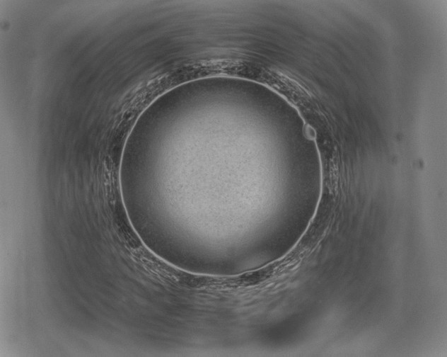 X0000080710917200612151130